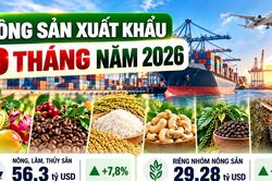 Nông sản xuất khẩu 9 tháng: Rau quả tăng gần 20%, cà phê và gạo giảm giá trị