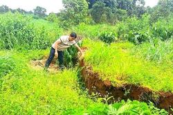 Vụ sụt lún tại Đức Cơ: Khoanh vùng cảnh báo, đề nghị khảo sát chuyên sâu