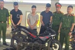 Nhóm đối tượng dùng súng bắn điện một đêm trộm gần chục con chó