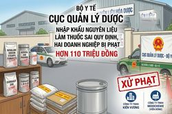 Bán nguyên liệu làm thuốc sai quy định, 2 doanh nghiệp bị phạt 110 triệu đồng