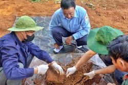 Quy tập 2 hài cốt liệt sĩ từ tin báo của người dân đi làm vườn ở Gia Lai