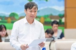 Bảo hộ quyền sở hữu trí tuệ: Thúc đẩy đổi mới sáng tạo và hội nhập quốc tế