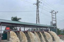 Hà Nội phân cấp thêm thẩm quyền quản lý công trình thủy lợi cho cấp xã