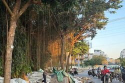 Rác thải tràn lan trên đường Nguyễn Văn Luyện