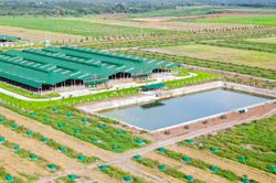 Thaco Agri bị xử lý vi phạm chứng khoán