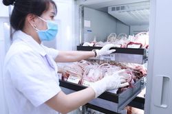 Nâng cao chất lượng, bảo đảm an toàn truyền máu tại Nghệ An