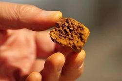 Rà soát, gỡ bỏ sản phẩm An cung ngưu hoàng hoàn giả