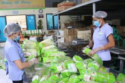 Hà Nội sẽ hợp nhất, sáp nhập các hợp tác xã tại 20 xã