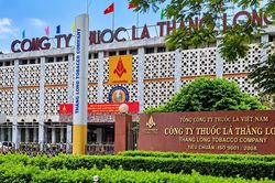 Vinataba lập kỷ lục lợi nhuận, nhưng hàng tồn kho vẫn chiếm hơn nửa tài sản