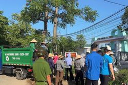 Duy trì chỉnh trang đô thị, xử lý nghiêm quảng cáo rao vặt trái phép