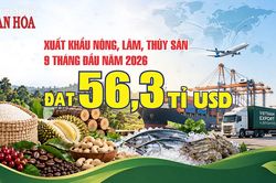 Trung Quốc mua 24,4% hàng nông, lâm, thủy sản Việt, tăng 18,9%