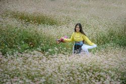 Lũng Cú sẵn sàng đón du khách mùa hoa tam giác mạch