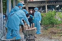 Vĩnh Long: Khẩn trương triển khai các biện pháp khoanh vùng, xử lý ổ dịch tả lợn châu Phi tại xã Phú Quới