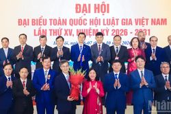 Tiếp tục xây dựng Hội Luật gia Việt Nam phát triển bền vững trong nhiệm kỳ mới