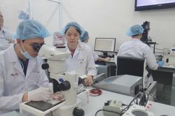 Bài toán nhân lực trong bối cảnh mới của Thành phố Hồ Chí Minh