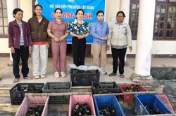 Hỗ trợ sinh kế cho các hộ dân có hoàn cảnh khó khăn