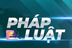 Thu hẹp án tử hình, không nới lỏng đấu tranh tội phạm