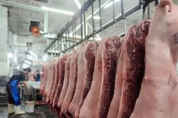 Quản lý an toàn thực phẩm từ trang trại đến bàn ăn