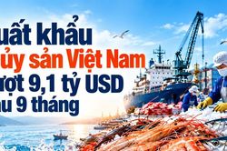 [INFOGRAPHIC] Xuất khẩu thủy sản Việt Nam vượt 9,1 tỷ USD sau 9 tháng