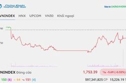 Chứng khoán hôm nay 7/10/2026: VN-Index quay đầu giảm, chờ kết quả kinh doanh quý 3