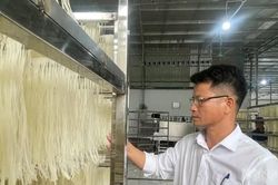 Người đàn ông rời phố về quê mở xưởng miến khô