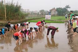 Hà Nội xây dựng nông thôn mới: Đánh thức sức sáng tạo từ những làng quê