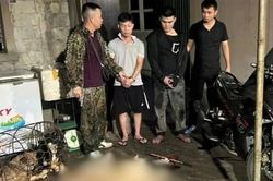 Cẩu tặc dùng súng tự chế trộm 9 con chó trong một đêm