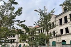 Đất trong bao lâu không sử dụng thì bị coi là bỏ hoang?