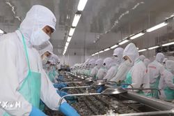 Cà Mau tăng tốc trong quý 4, hướng tới mục tiêu tăng trưởng trên 10%
