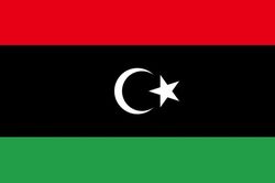 Libya có Chủ tịch Hạ viện mới