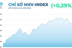 Đường lập đỉnh 19 tháng, nhóm họ đậu đồng loạt tăng giá