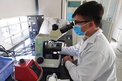 Khoa học, công nghệ và dữ liệu mở dư địa tăng trưởng
