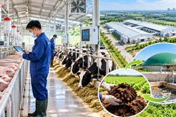 Hướng tới chăn nuôi bền vững