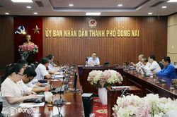 Rà soát công tác chuẩn bị tổ chức chương trình DIGIFEST Đồng Nai 2026