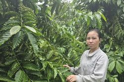 Phụ nữ Ia Khươl vượt qua khuôn mẫu, tự tin vươn lên
