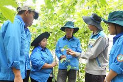 Học làm nông nghiệp qua những mùa cây