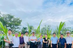 Gia Lai trao 11.100 cây dừa giống, tiếp sức “Xanh hóa Trường Sa”