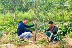 Tiếp sức cho nông dân làm giàu