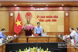 Ban Văn hóa - Xã hội HĐND tỉnh thẩm tra nội dung trình kỳ họp chuyên đề