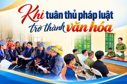 Khi tuân thủ pháp luật trở thành văn hóa