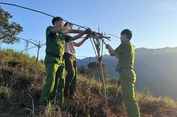 Công an xã Gia Hội kịp thời ngăn chặn hoạt động bẫy chim trời trái phép
