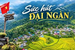 Sức hút đại ngàn