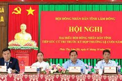 Cử tri Phúc Thọ Lâm Hà kiến nghị giải quyết vướng mắc đất đai