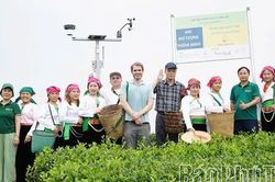 Sản xuất xanh để phát triển bền vững