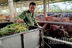 Thay đổi tư duy chăn nuôi, nâng giá trị đàn gia súc