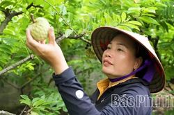 Đổi thay ở Đại Đình