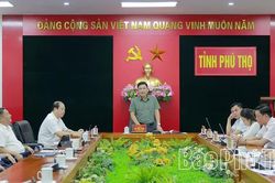 Tập trung hoàn thiện đồ án Quy hoạch phân khu Khu công nghiệp Tam Dương II - khu B