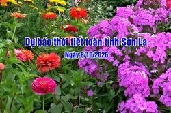 Dự b&aacute;o thời tiết to&agrave;n tỉnh Sơn La ng&agrave;y 08/10/2026