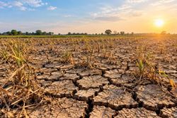 Tuyên Quang ứng phó nguy cơ thiếu hụt nguồn nước do ảnh hưởng của El Nino