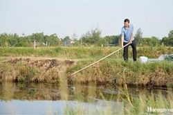Đầu tư đồng bộ hạ tầng cho vùng nuôi trồng thủy sản